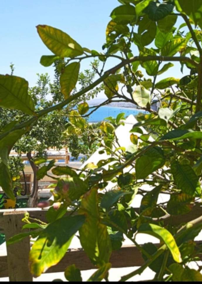 Queens Luxury Glamping Palaiokastro (Crete) Exterior foto