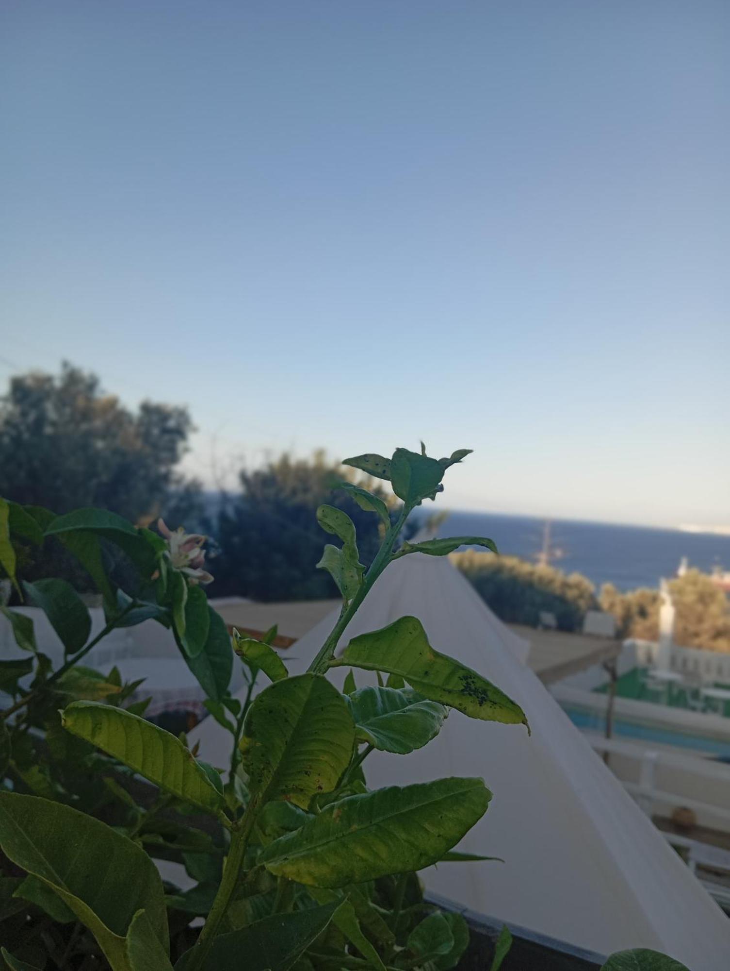 Queens Luxury Glamping Palaiokastro (Crete) Exterior foto