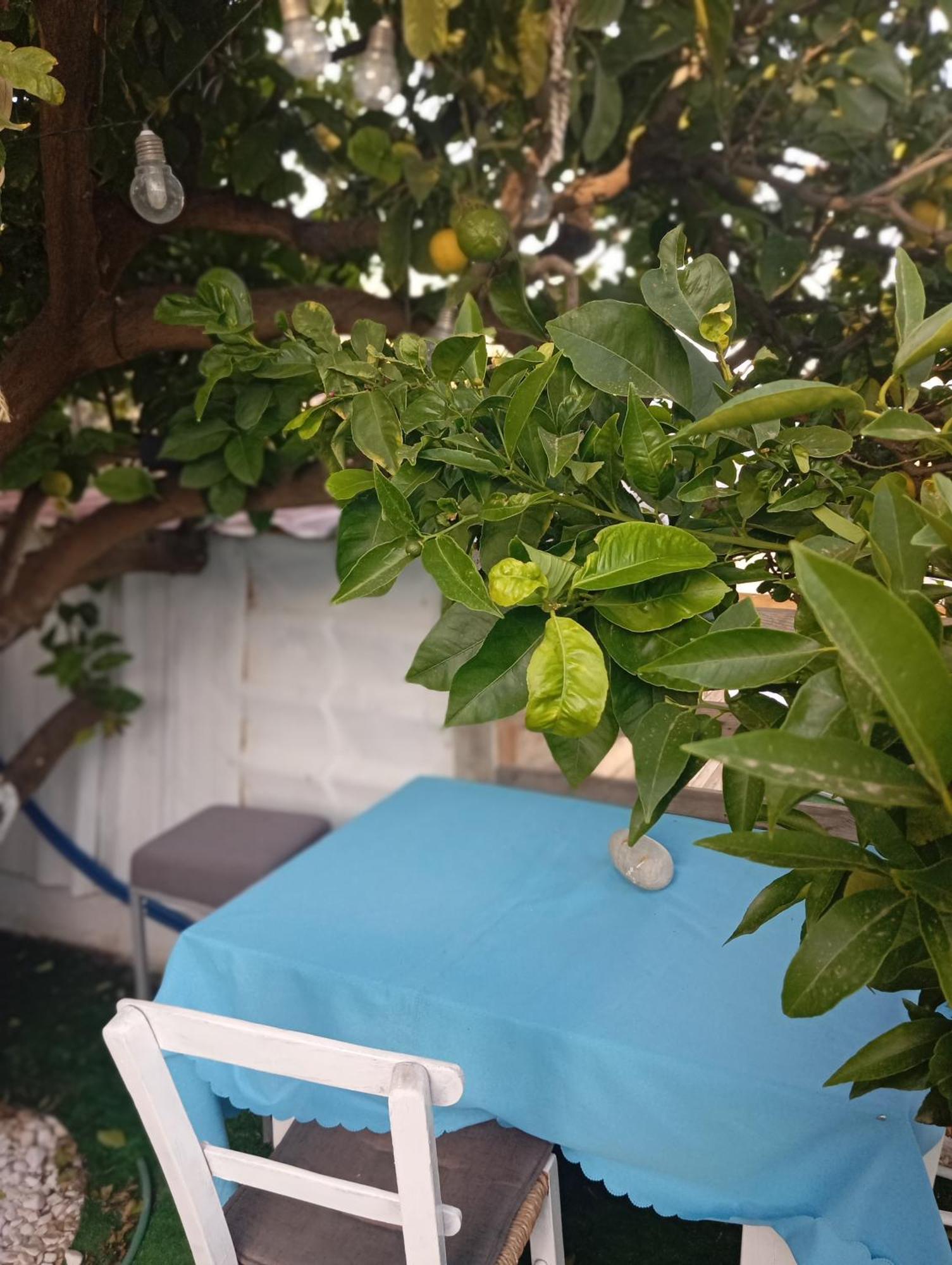 Queens Luxury Glamping Palaiokastro (Crete) Exterior foto