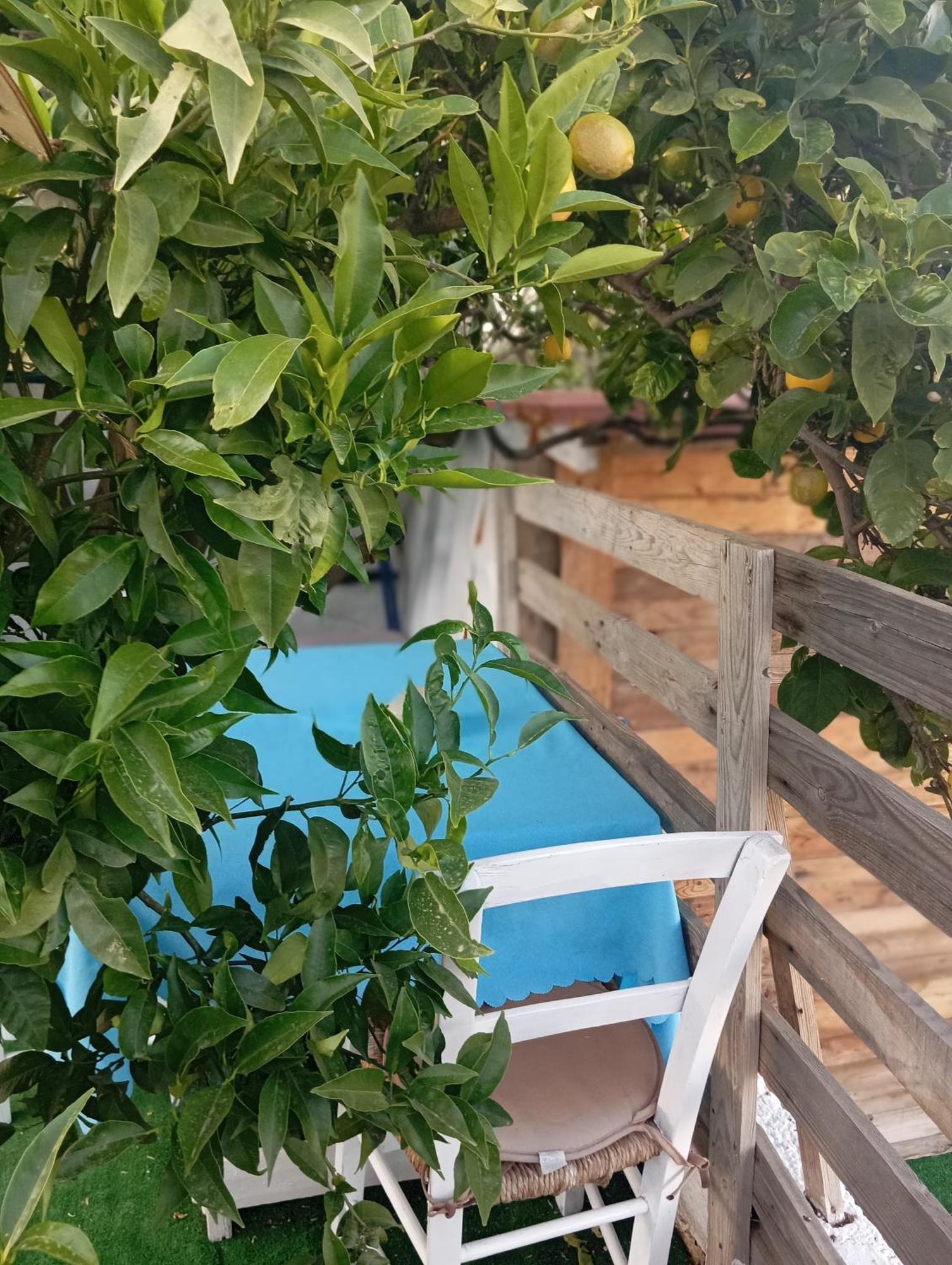 Queens Luxury Glamping Palaiokastro (Crete) Exterior foto